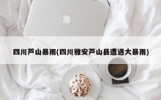 四川芦山暴雨(四川雅安芦山县遭遇大暴雨)