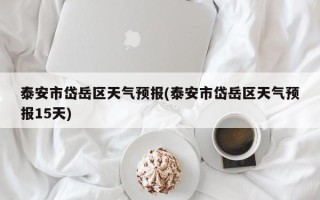 泰安市岱岳区天气预报(泰安市岱岳区天气预报15天)