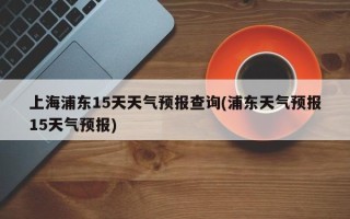 上海浦东15天天气预报查询(浦东天气预报15天气预报)