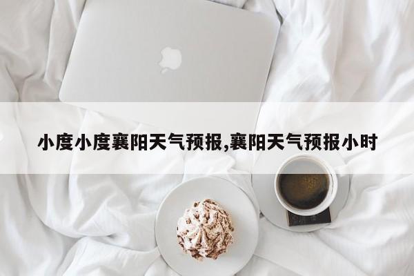 小度小度襄阳天气预报,襄阳天气预报小时 第1张