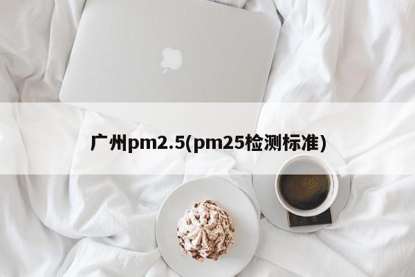 广州pm2.5(pm25检测标准) 第1张