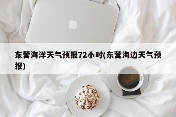 东营海洋天气预报72小时(东营海边天气预报) 第1张