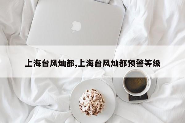 上海台风灿都,上海台风灿都预警等级 第1张