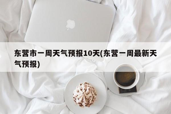 东营市一周天气预报10天(东营一周最新天气预报) 第1张