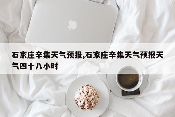 石家庄辛集天气预报,石家庄辛集天气预报天气四十八小时 第1张