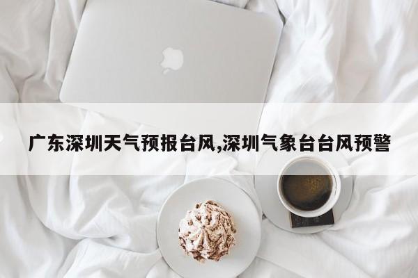 广东深圳天气预报台风,深圳气象台台风预警 第1张